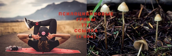 спиды Осинники