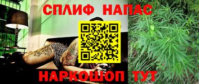 гашик Гусиноозёрск