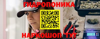 мдма Гусев