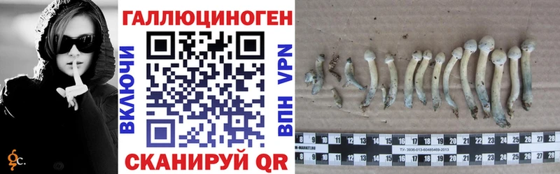купить наркотики цена Стрежевой гидра Галлюциногенные грибы Psilocybine cubensis