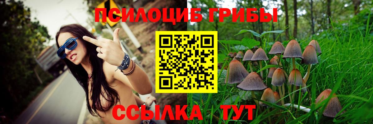 Стрежевой  Псилоцибиновые грибы GOLDEN TEACHER  Вход с VPN 