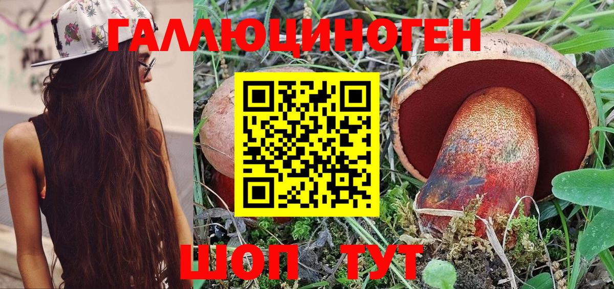 Галлюциногенные грибы Psilocybe Стрежевой