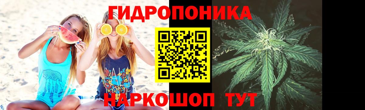 Бошки марихуана конопля  Вход с VPN  Канабис Ganja  Бошки марихуана Bruce Banner  Марихуана семена  Стрежевой 
